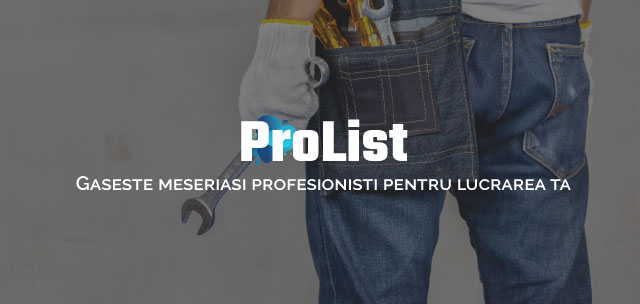 ProList — 1 Milion de Utilizatori prin SEO